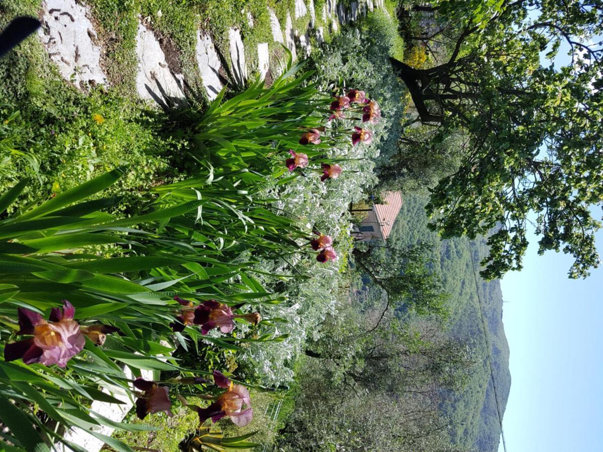 Pietrantica - Affittacamere Con Giardino Nuova Apertura A Trebiano -Citr Exterior photo