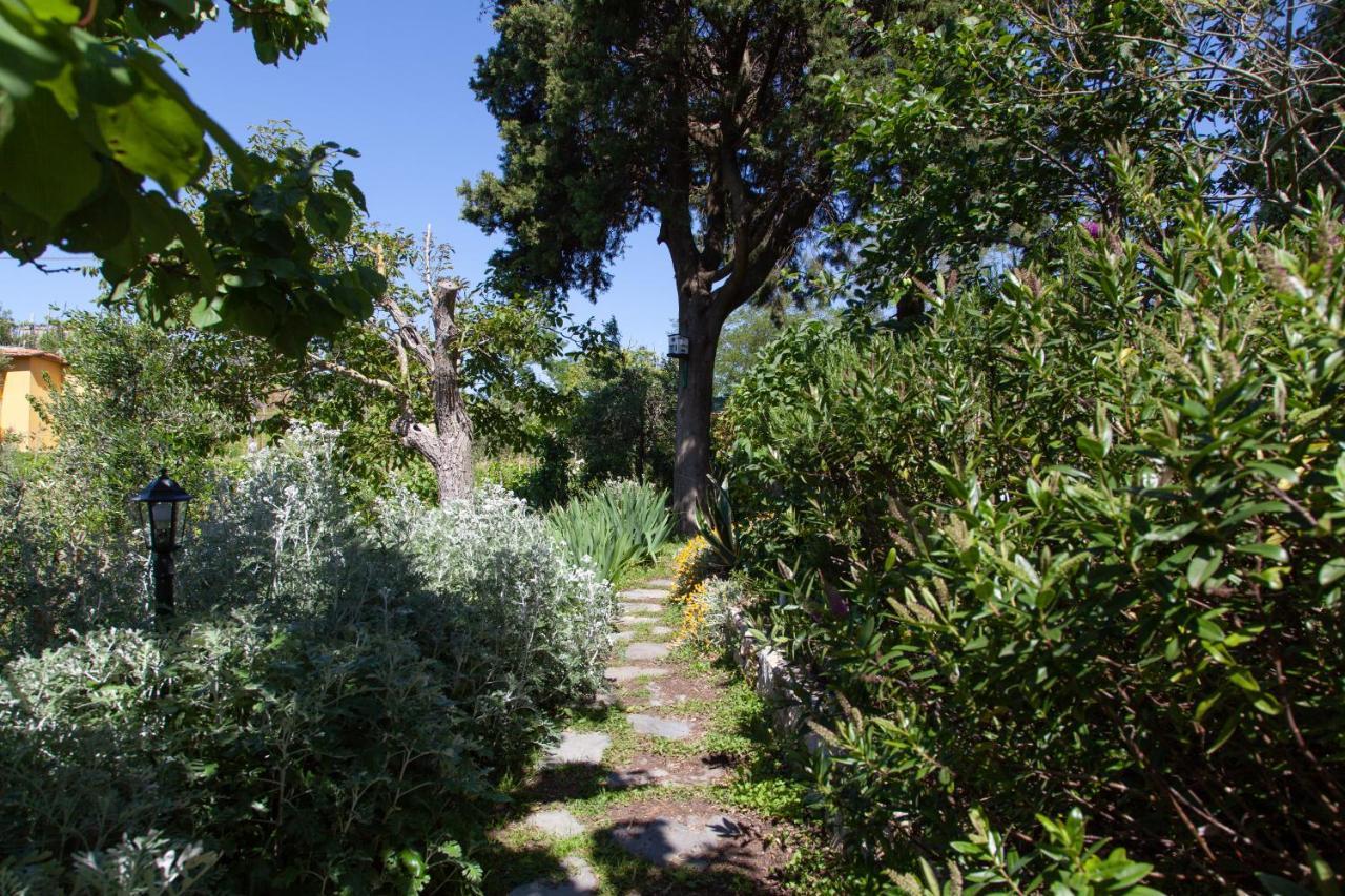 Pietrantica - Affittacamere Con Giardino Nuova Apertura A Trebiano -Citr Exterior photo